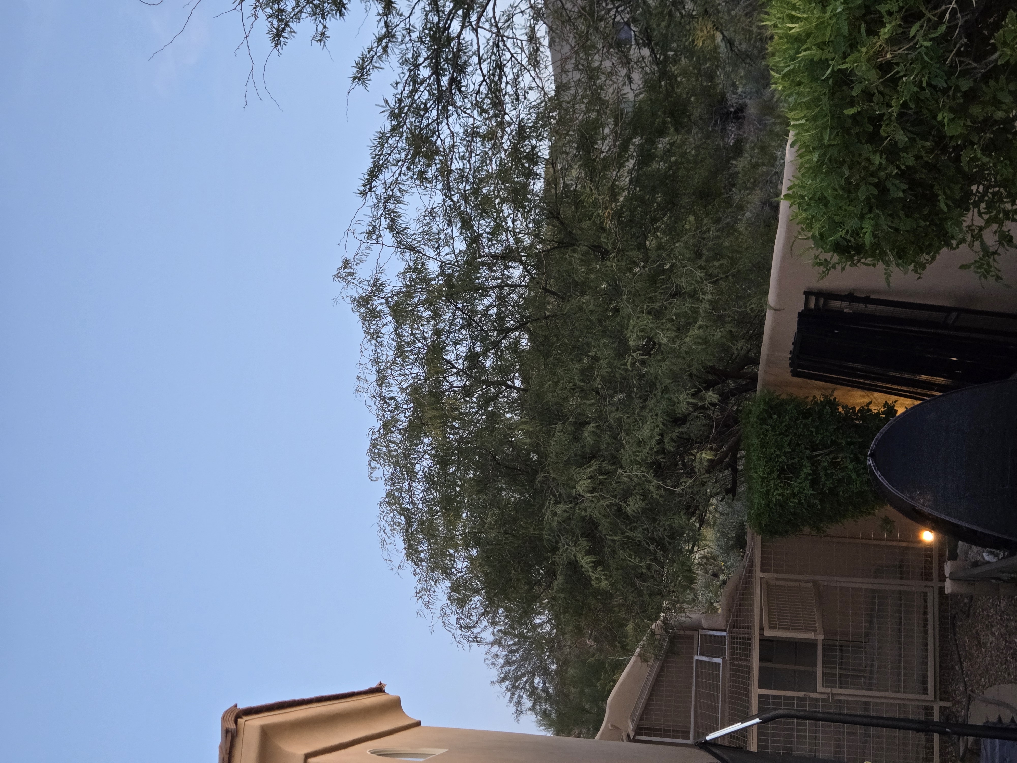 Finished dog kennel catio at dusk