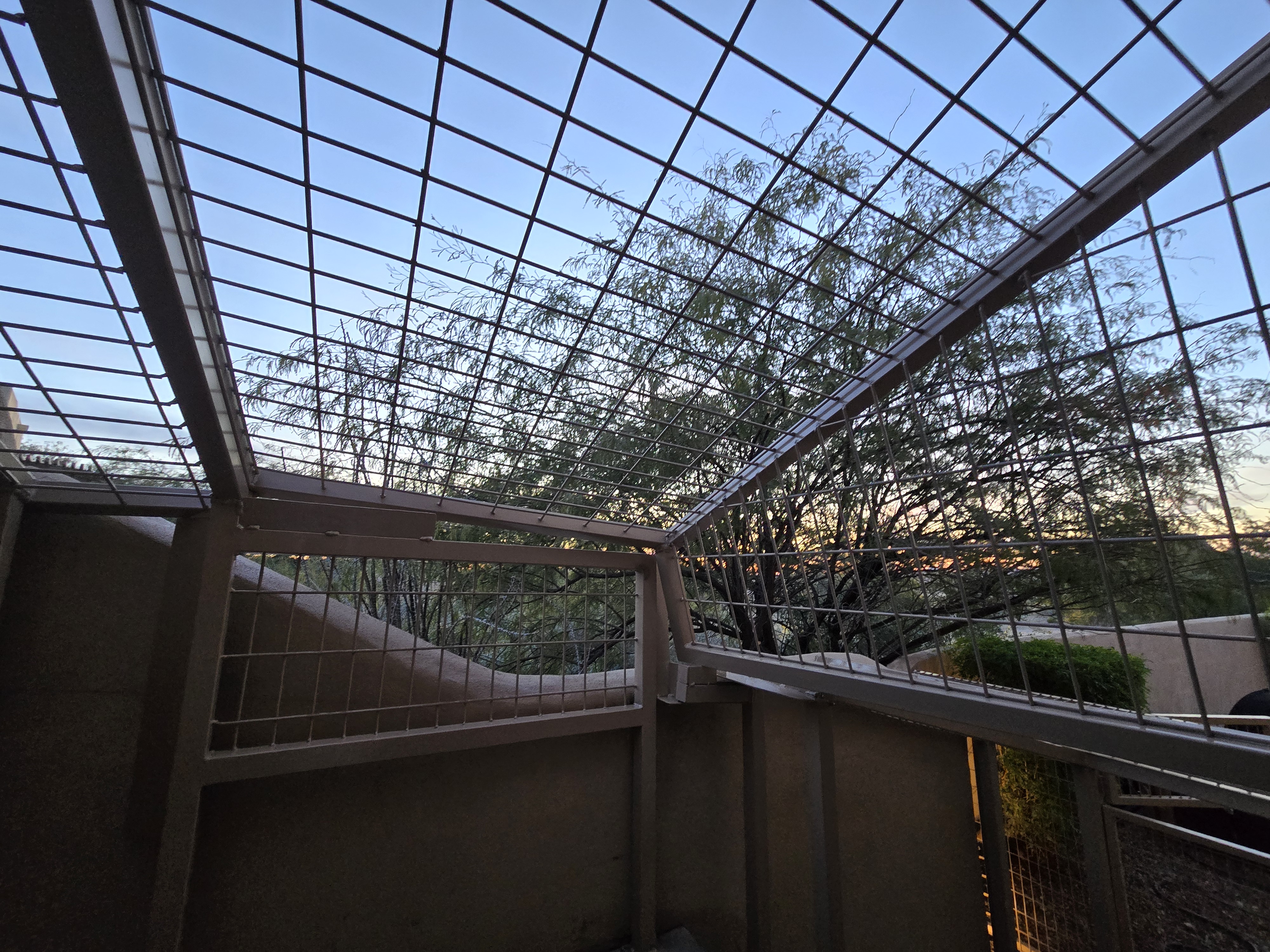 Another dramatic roof angle at dusk