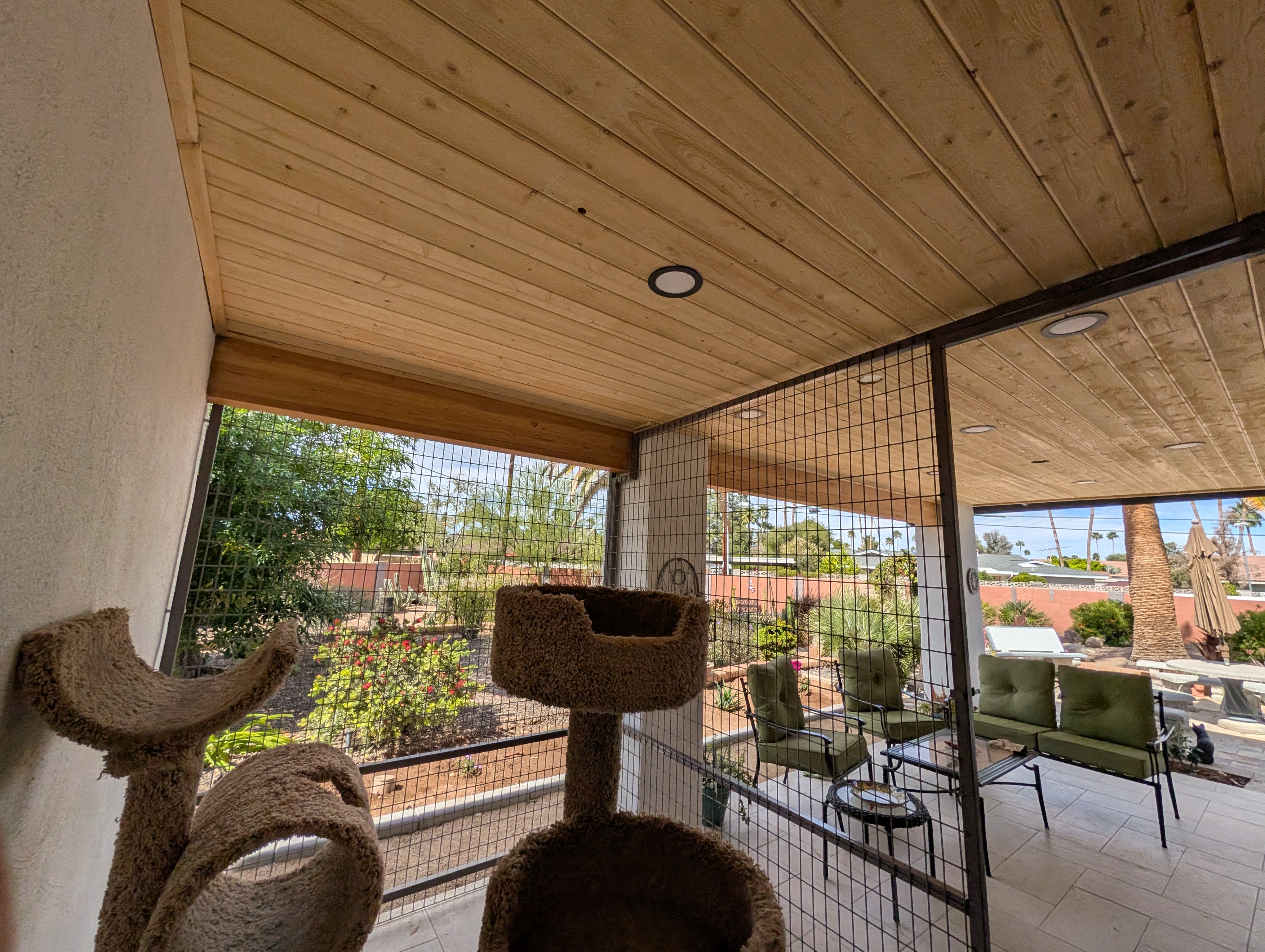 Custom catio Phoenix AZ – premium predator-proof outdoor cat enclosure with welded steel frame in desert landscape
