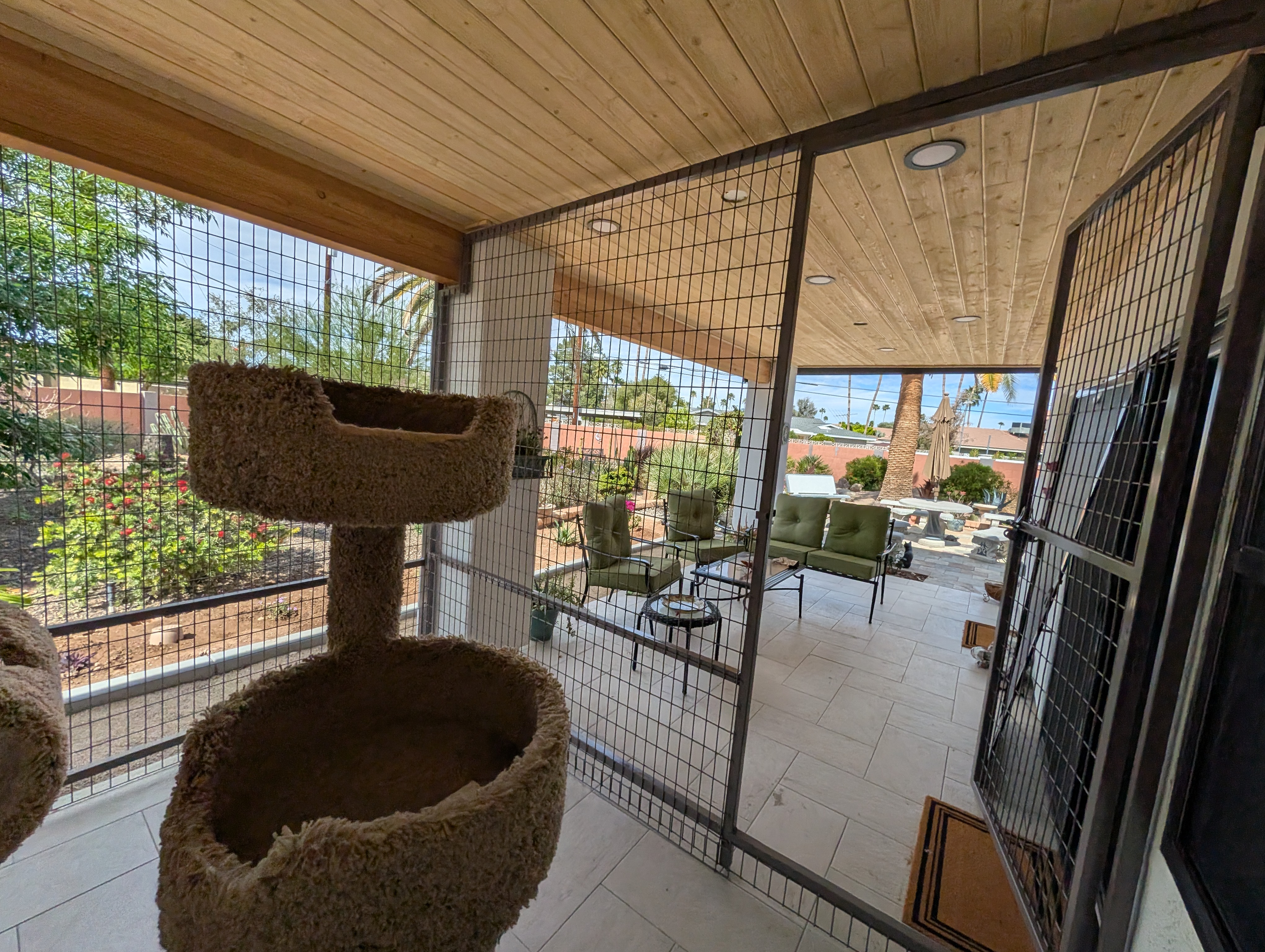 Interior of luxury cat patio Phoenix AZ showing cat trees, perches, and safe mesh screening