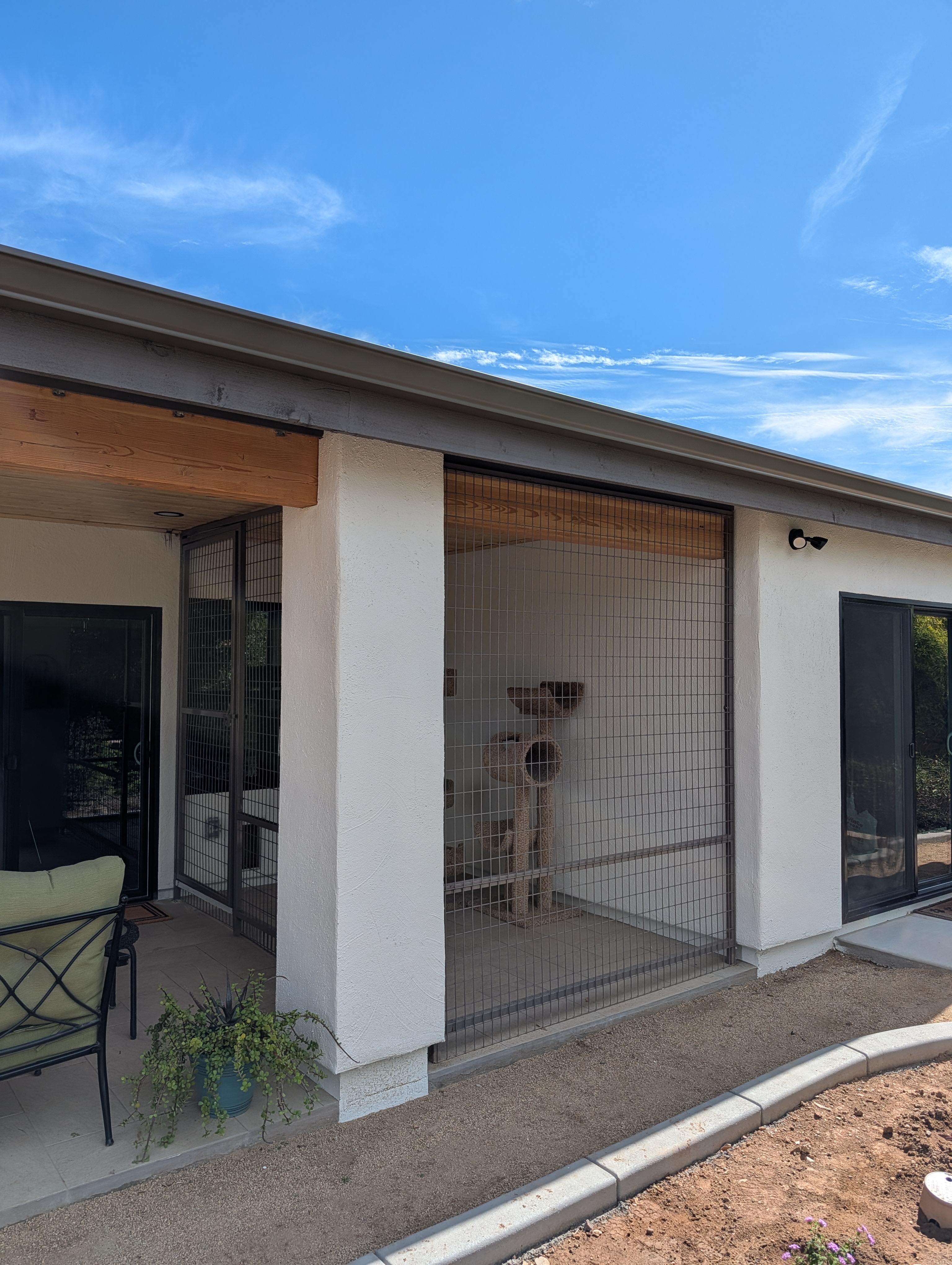 Wide view of safe outdoor cat space Phoenix custom enclosure